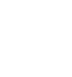 Institutionel investering